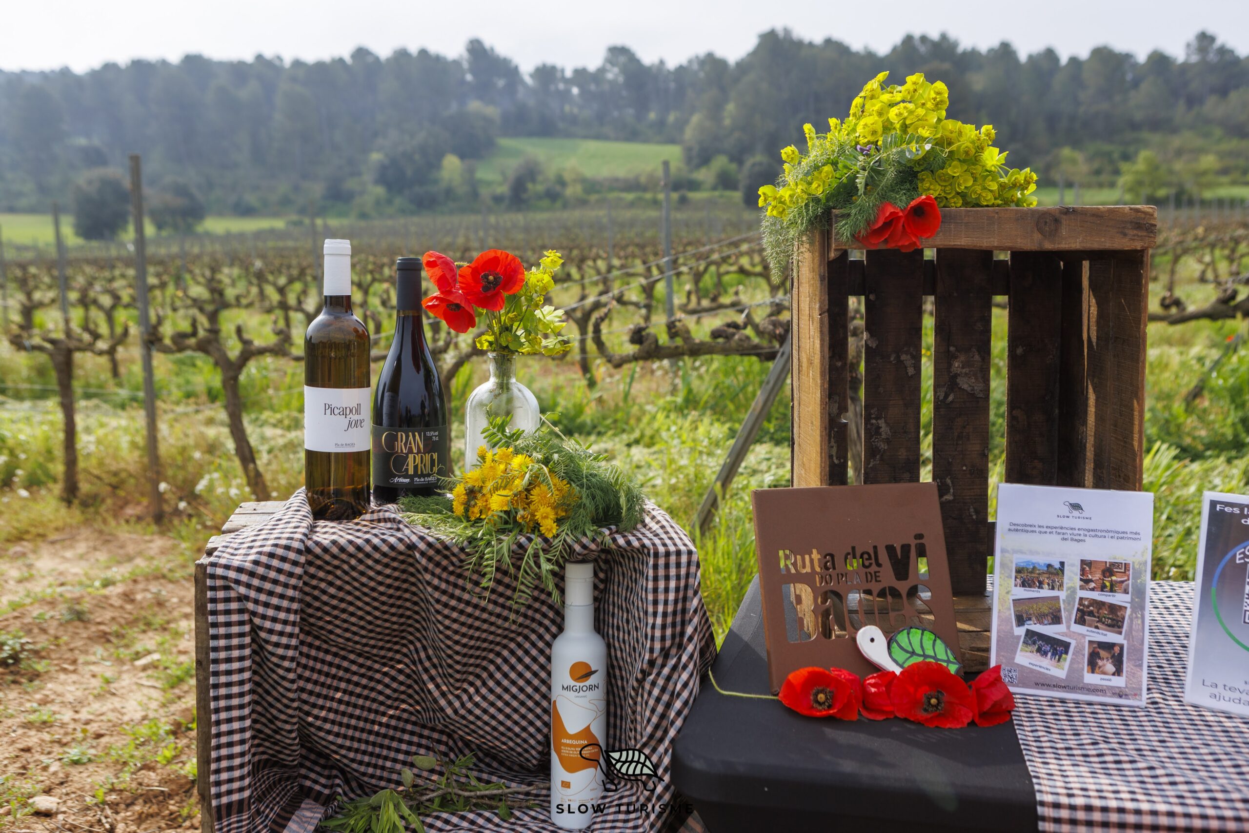 20250415 ARTES ARTIUM FOTOVINYES- Dani Casas 2025--3721